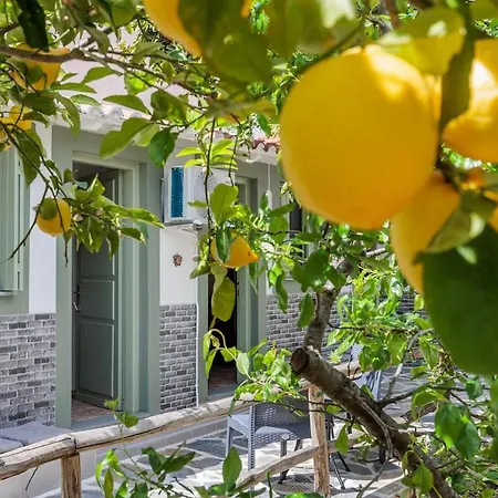 Lemon Trees Ii Apartment Skopelos Town