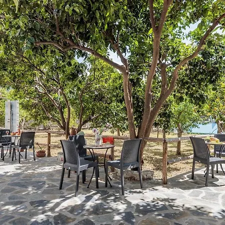 Lemon Trees Ii